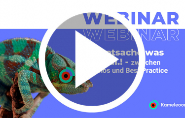 Webinar Kameleoon: Hauptsache was mit AI!